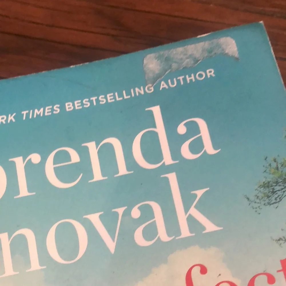One Perfect Summer by Brenda Novak Book